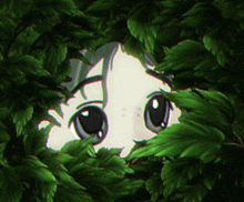 a close up of a person 's face behind a leafy shrub