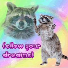 a raccoon standing on its hind legs with the words follow your dreams