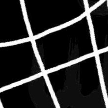 a black and white grid with white lines on a black background