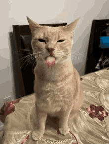 a cat sitting on a bed with its tongue sticking out