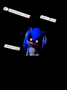 a picture of sonic the hedgehog with red eyes and the words no trespassing