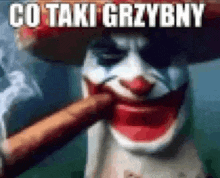 a clown is smoking a cigar and wearing a sombrero with the words `` co taki grzybny '' written on it .