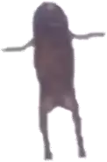 a silhouette of a person standing on their back with their arms outstretched .