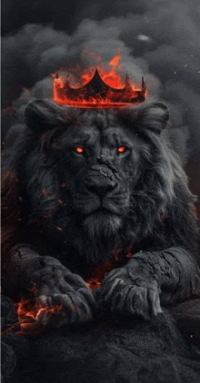 a lion with a crown on its head is sitting on a rock in the dark .