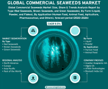 a graphic showing the global commercial seaweeds market size and trends