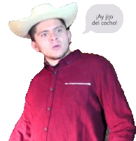 a man wearing a cowboy hat says ay jijo del cocho in a speech bubble