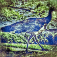 a painting of a peacock standing in a field