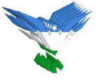 the flag of somalia is flying in the shape of a bird with wings spread .