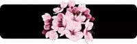 pink flowers on a black background with a black border