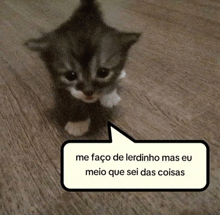 a small kitten with a speech bubble that says me faço de lerdinho mas eu meio que sei das coisas