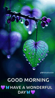 a good morning message with a heart shaped leaf on a branch