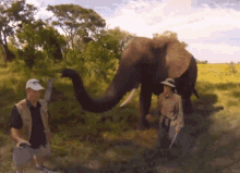 two men standing next to an elephant with a large trunk and a hat that says ' abercrombie & fitch ' on it