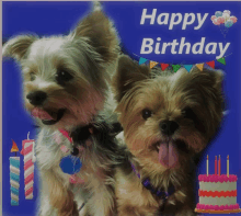 a birthday card with two yorkie dogs and a cake