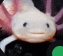 a close up of a white axolotl looking at the camera with a green circle in the background .