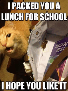 a cat is sitting next to a bag that says " i packed you a lunch for school i hope you like it "