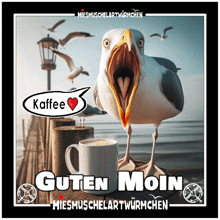 a seagull is standing next to a cup of coffee that says guten moin on it