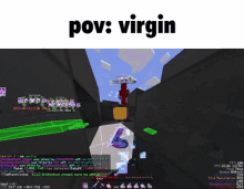 a screenshot of a video game with the words pov virgin