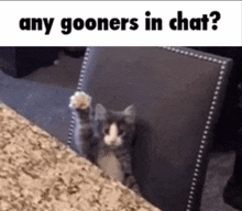 a cat is sitting on a chair with its paw in the air and the caption says any gooners in chat ?