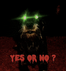 a picture of a dog with glowing eyes and the words yes or no