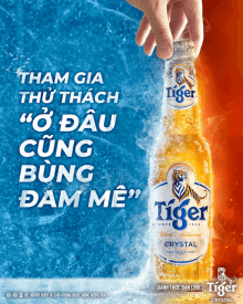 a hand reaches for a bottle of tiger crystal