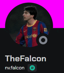 a picture of a soccer player with the name thefalcon on it