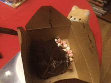 a piece of chocolate cake in a cardboard box with marshmallows on top