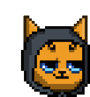 a pixel art drawing of a cat wearing a black hood