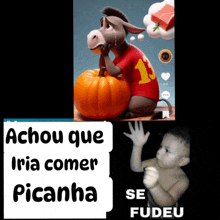 a picture of a donkey sitting on a pumpkin with the words achou que iria comer picanha on the bottom