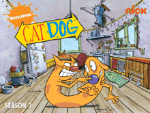 a poster for cat dog season 2 shows a cat and a dog