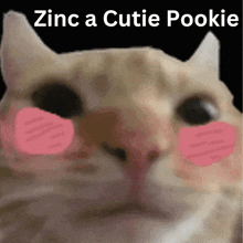 a close up of a cat with pink cheeks and the words zinc a cutie pookie above it