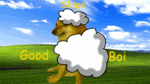 Doge Wallpaper Meme