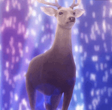 a deer is standing in front of a blue background