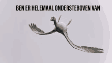 a picture of a goose flying with ben er helemaal ondersteboven van written below it