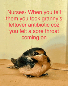 a nurses when you tell them you took grannys leftover antibiotic coz you felt a sore throat coming on