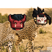 a cheetah is standing next to another cheetah with a pixel art of a demon on its back