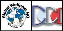 a logo for global wellness has a globe and the words mind body spirit