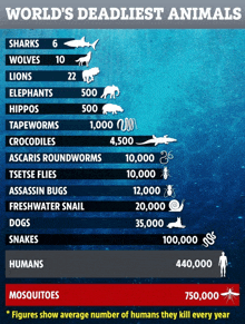 a poster showing the world 's deadliest animals including sharks wolves lions and elephants