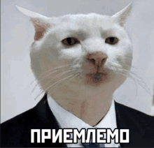 a white cat is wearing a suit and tie and has a caption in russian .