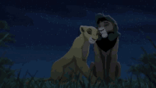 a lion and a lioness are kissing in the grass under a starry night sky .