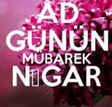 a picture of a pink flower with the words `` ad gunun mubarek nigar '' on it .