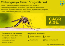 an advertisement for chikungunya fever drugs market showing a mosquito on a yellow background