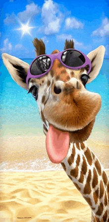 a giraffe wearing sunglasses and sticking its tongue out