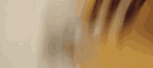 a blurred image of a person 's face with a yellow background