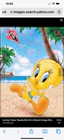 a screenshot of tweety bird on a beach with a happy birthday message