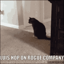 a picture of a cat with the caption luis hop on rogue company on it