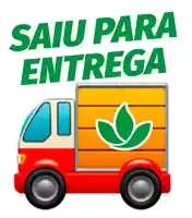 a delivery truck has a green leaf on the back and the words " saiu para entrega " above it