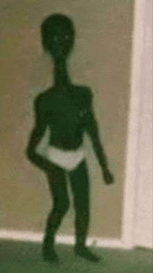 a silhouette of a person in underwear standing in a room .