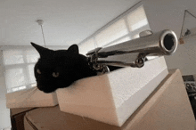 a black cat is laying on top of a white box with a gun on it