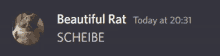 a picture of a rat with the words beautiful rat today at 20:31 schiebe