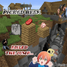 a screenshot of a video game with the words picked beef failed the jump